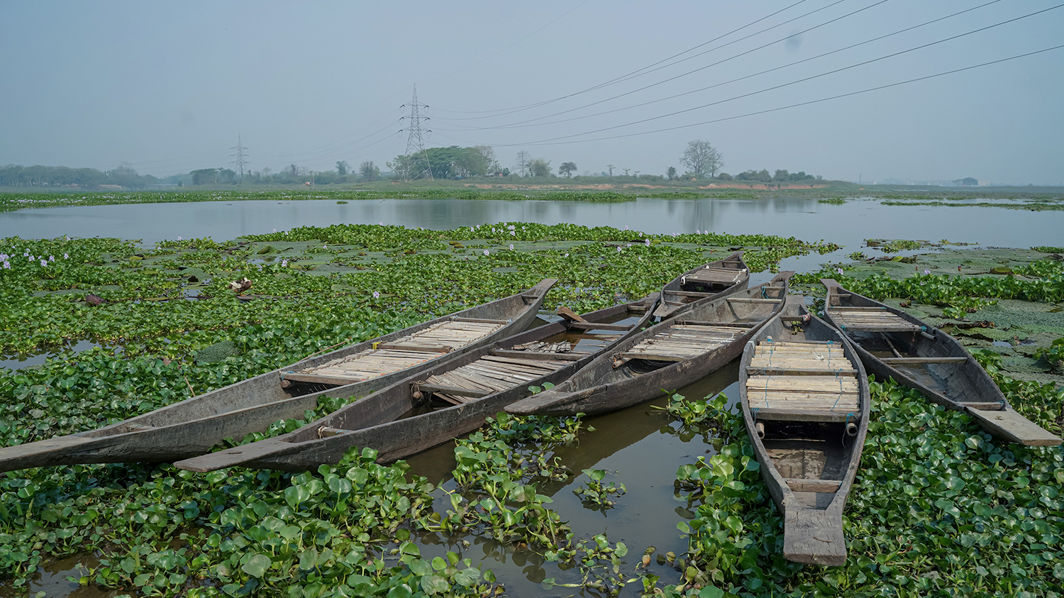 Deepor-beel_Credit-Dipanjali-Gohainweb_NEWS_LLBCP.jpg